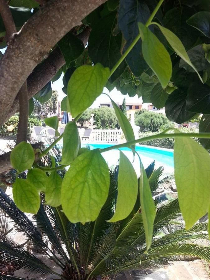 Bed and Breakfast La Finestra Sul Mare Budoni Exterior foto