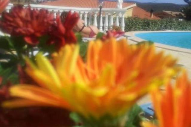 Bed and Breakfast La Finestra Sul Mare Budoni Exterior foto
